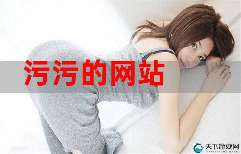 搞机time 下载不用不收钱嘉兴 v24：满足你的多样需求