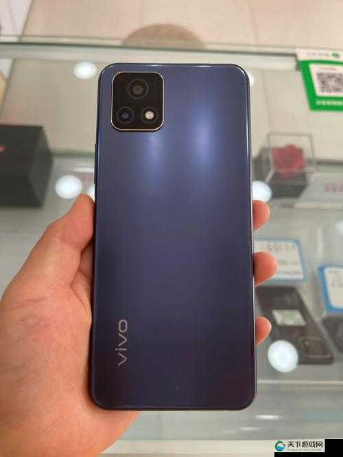 成色好的 y31 全方位解析-其特点优势及相关详细内容介绍