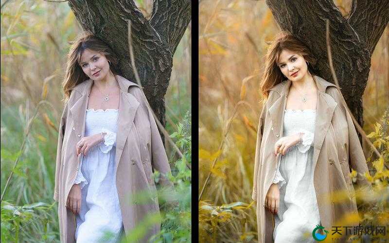 PS 二级调色大片效果分析：深度剖析其独特魅力与呈现