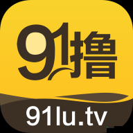 91免费破解版大全:涵盖丰富软件的一站式资源平台
