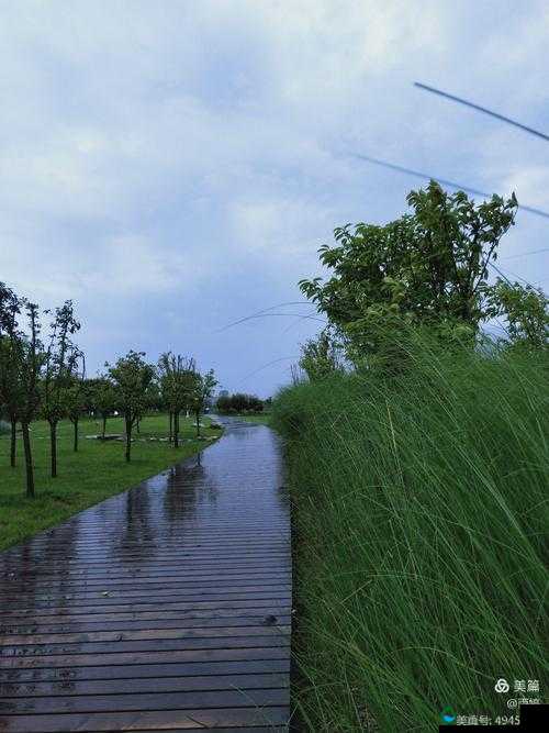 老人：雨中船头弄玉婷，回首往事涕泗横