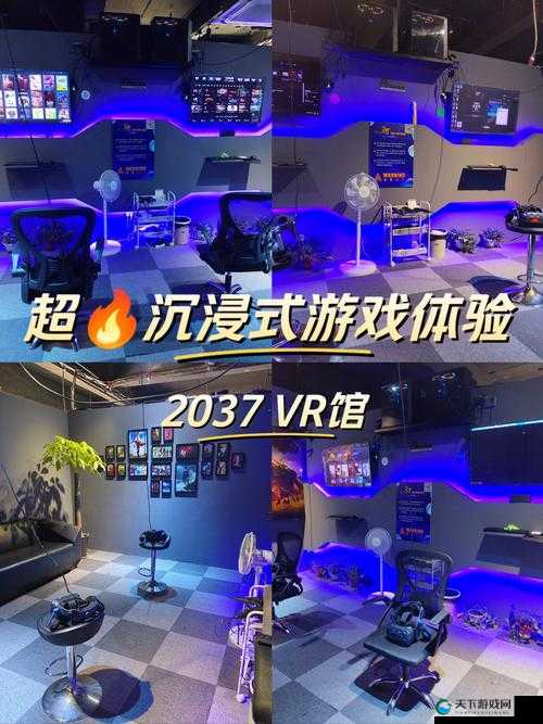 春梦阁 APP：打造沉浸式娱乐体验