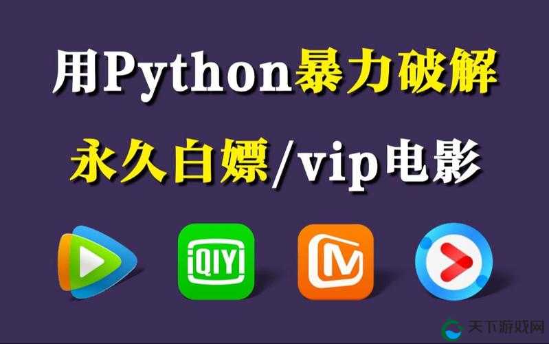 用 Python 免费看电影:探索源码背后的无限可能