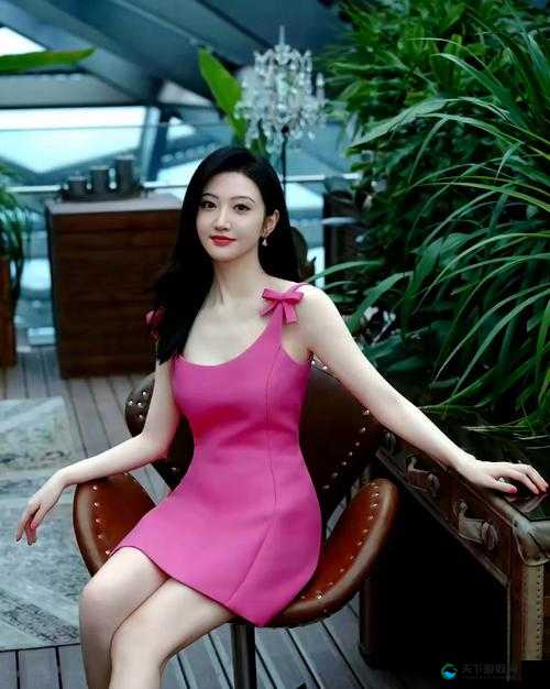 久久精品亚洲 OV 少妇区景甜：迷人风情，难以抗拒