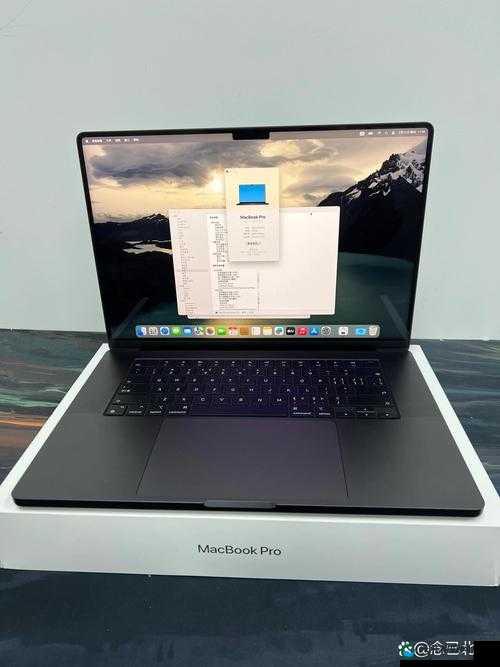 16 岁少年与他的 MacBook Pro：在日本的青春故事