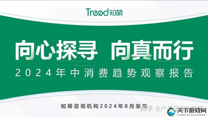 b 站大全永不收费 2024 入口揭秘：全新探索与解读