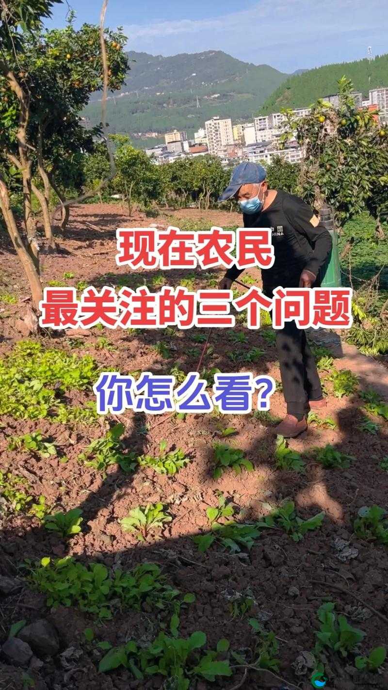 农村老太的性完整性：被忽视的话题