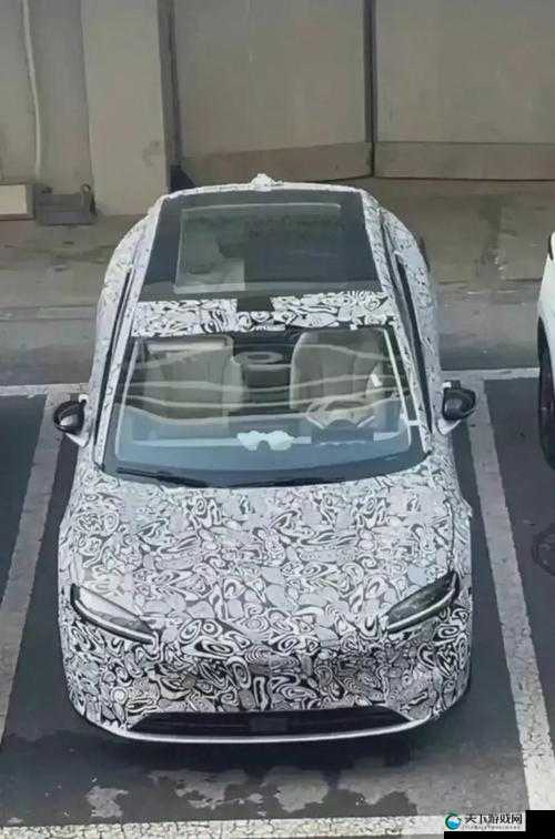 x7x7x7 任意噪水的独特魅力与无限可能