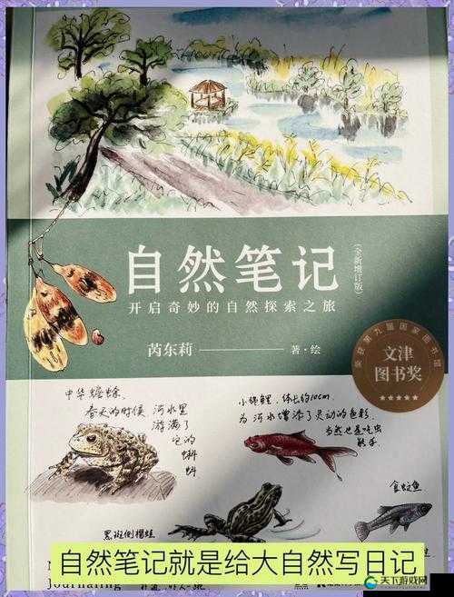 幼童雏鸟导入口：探索童真与自然的奇妙之旅