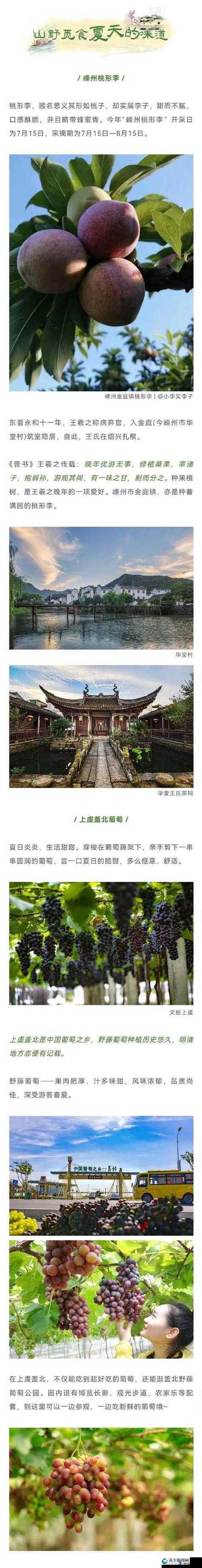 x9x9x9 随意率性槽：关于其独特性与潜在价值的探讨