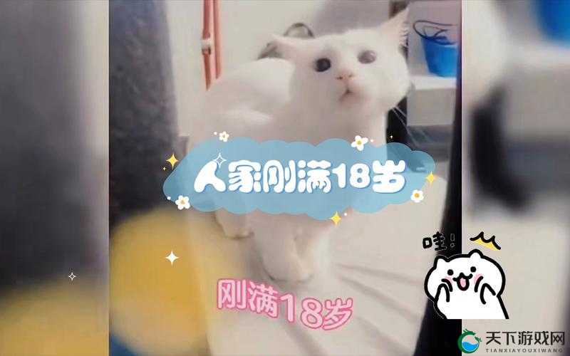 已满 18 可以转：成年后的新起点