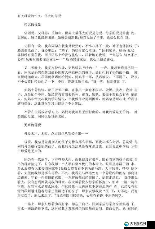一个好妈妈的 D5 申字：讲述母爱的伟大与无私奉献