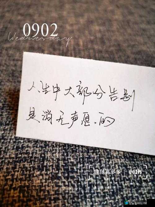 啊别了花城：一段难以割舍的告别与新生之旅