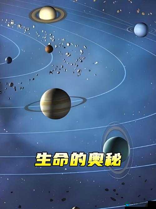 末发育牲 XXⅩDH：探索未知的生命奥秘