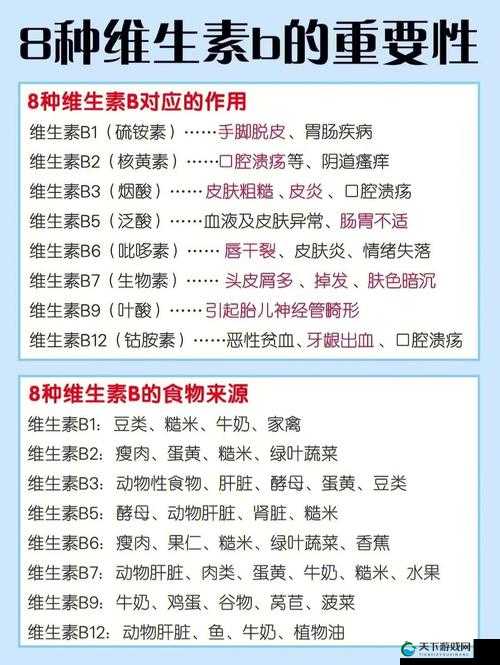 三十种 B 哪个好图：全方位解析与比较