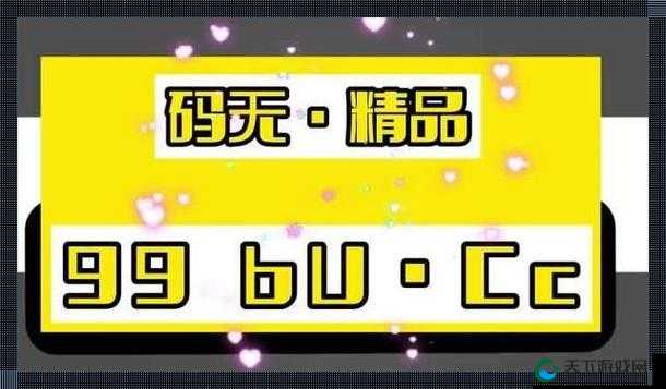 无人区一码二码三码 4 码区：神秘代码背后的未知探索之旅
