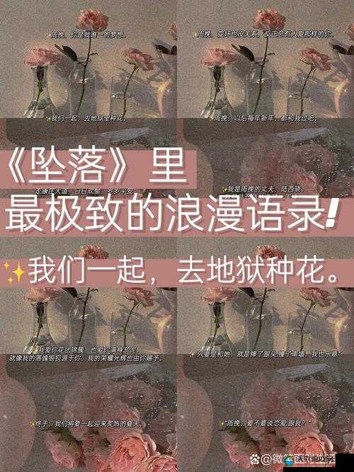 粗暴交 videos 乱叫小说：极致刺激的狂野演绎