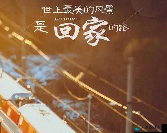 hj2024 回家海角——踏上归家之旅的璀璨征程