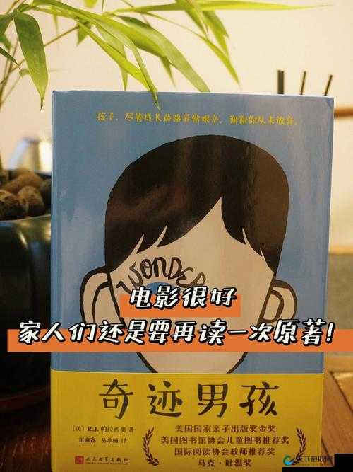 二傻的春天小说:一个充满希望与奇迹的温暖故事