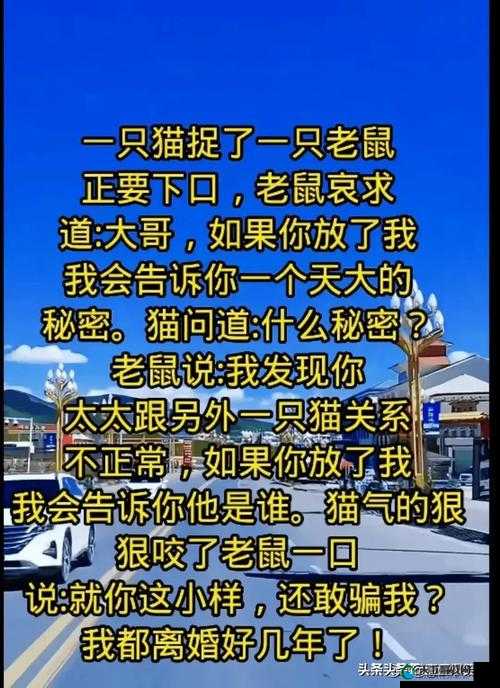 一男子同时与 10 名女子发生性关系：震惊全网的色猫视频