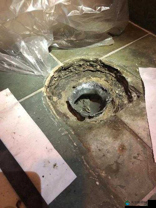 你下水好多下水道 bd 相关内容引发热议探讨