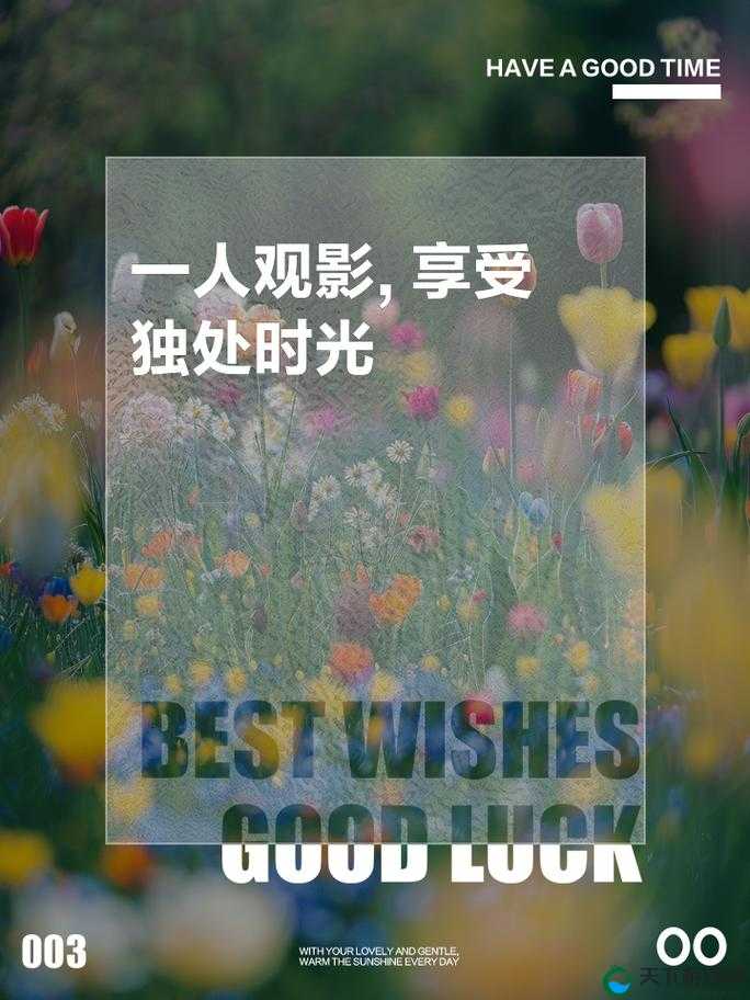 享受完整观影时光,沉浸在光影世界里