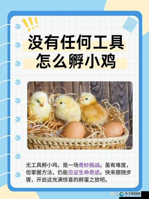 我里小鸡硬邦邦前一句怎么说引发的奇妙思考