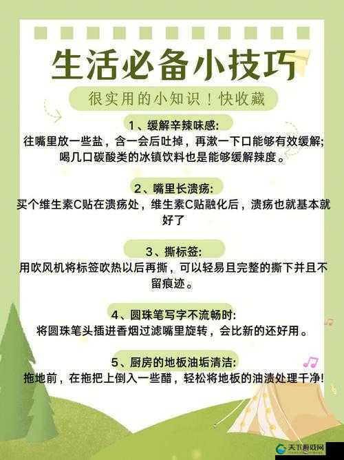 如何提高拔萝卜的速度:实用技巧分享