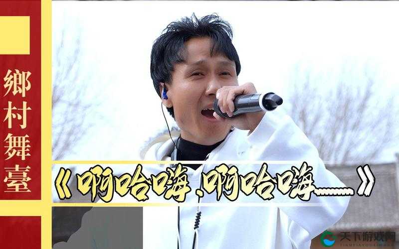 哈啊哈啊哈啊哈啊哈啊哈啊——欢快旋律的独特魅力