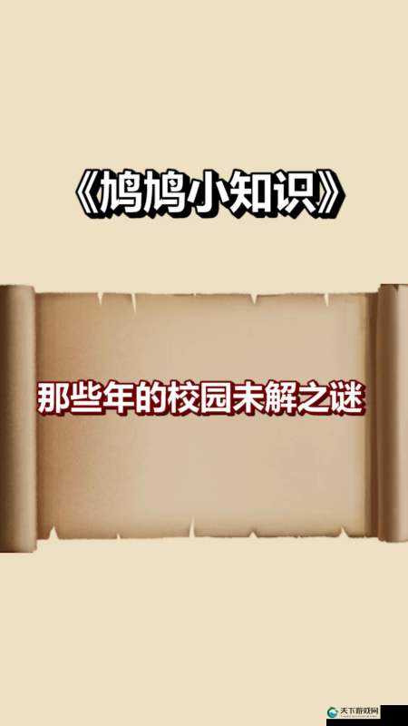 答案 1V1 校园的玩法:开启独特校园互动体验之旅