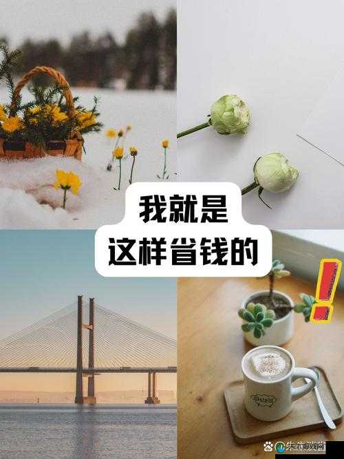如何通过非洲 BBOOMBBOOM 提升你的生活品质