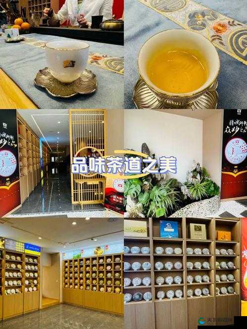 三亚新茶嫩茶 wx :品味清新茶香 享受美妙时光