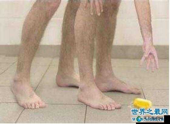 男生和女生搞基的软件：打造同志社交新体验