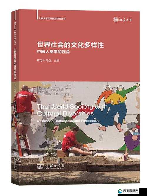 巴基斯坦男男 Gay 之间的巨大粗 xX：性、文化与社会议题的交织