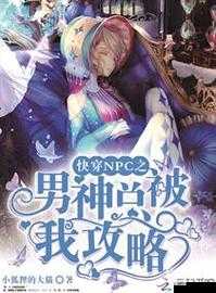 快穿游戏中 NPC 周维安的奇妙经历与挑战