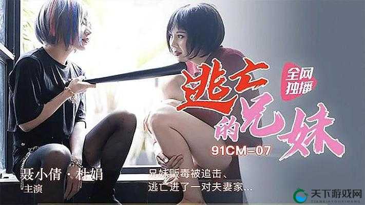 1313 国产午夜精品理论片:独特视角解读与探索