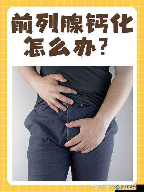 2024 男男钙 GGY 钙站一区:探索独特的男性情感世界