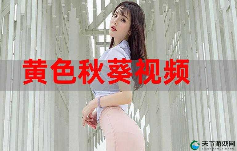 日韩璜铯 av 视频的制作与传播:挑战与应对