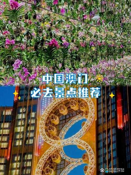红桃视频解说：带你领略澳门的独特魅力