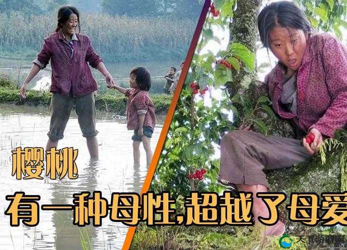 樱桃电影之关于樱桃的那些精彩故事与深刻内涵