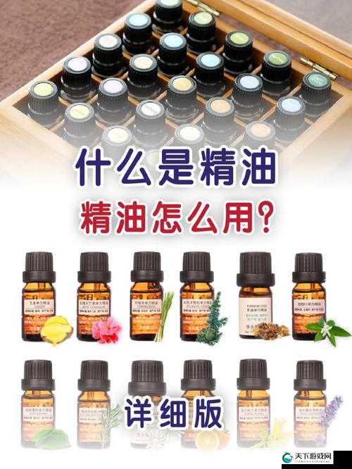 如何使用精油xxxxxx999？这里有答案