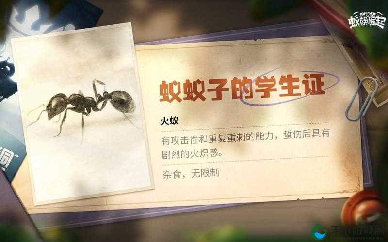 蚁族崛起火蚁马略机制分析
