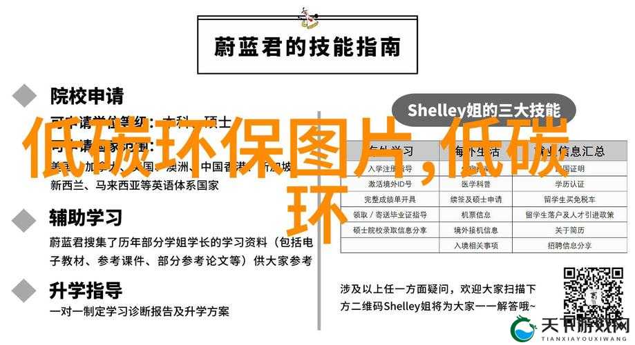 深度全面解析 JANPENSE VISA 背后的秘密与价值