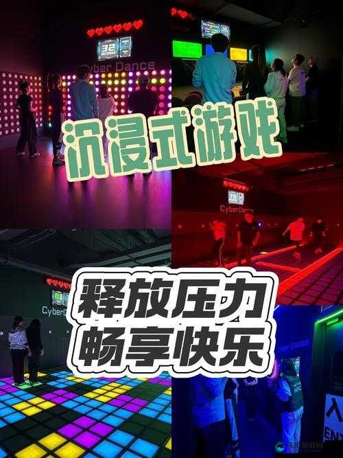 VIDEOCODEC WMVideoDecoder 免费播放：畅享高清视频无压力