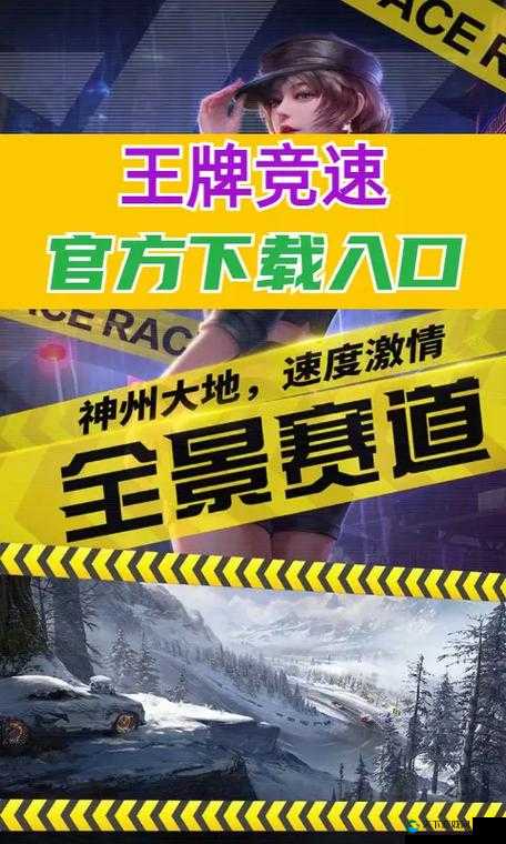王牌竞速黑金会员购买性价比分析在资源管理中的重要性及策略