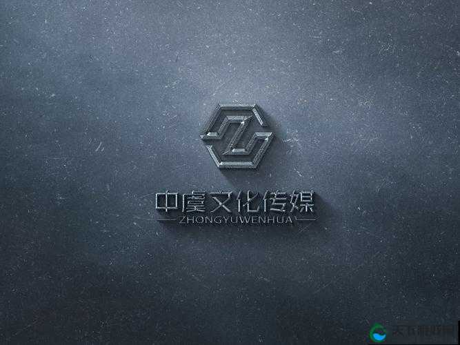 AAA 文化传媒有限公司：打造多元化娱乐平台