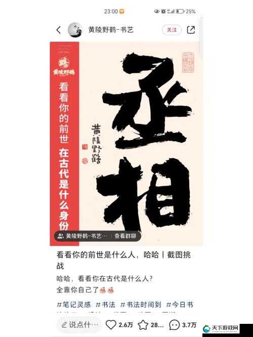 清冷丞相每天被爆炒免费阅读：看丞相如何在风云中坚守自我