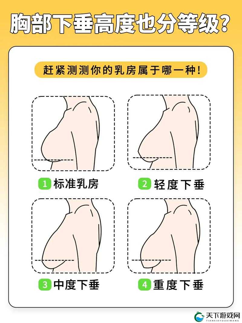 20 岁少女的胸部为何又软又下垂