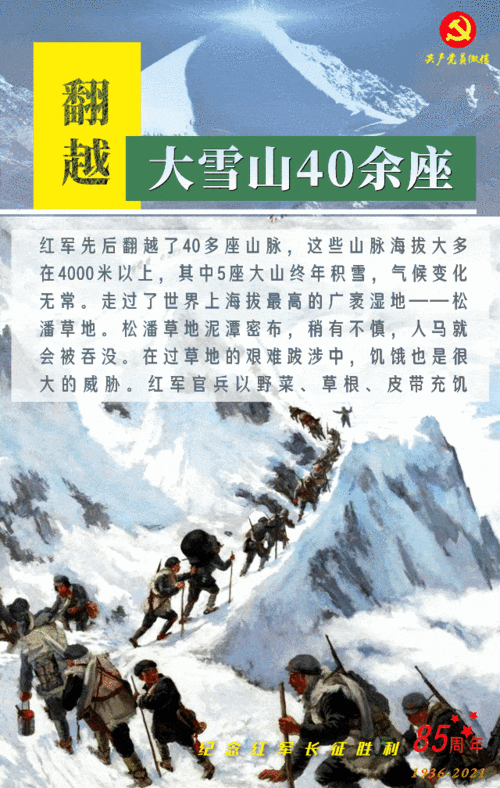 黑料老司机：揭秘万里长征背后的故事