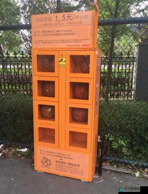 篮球队的公共玩具坐便器：独特的团队共享物品